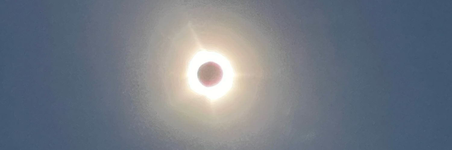 Vladimir Signorelli banner