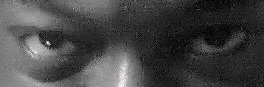 The Fly On The Wall banner