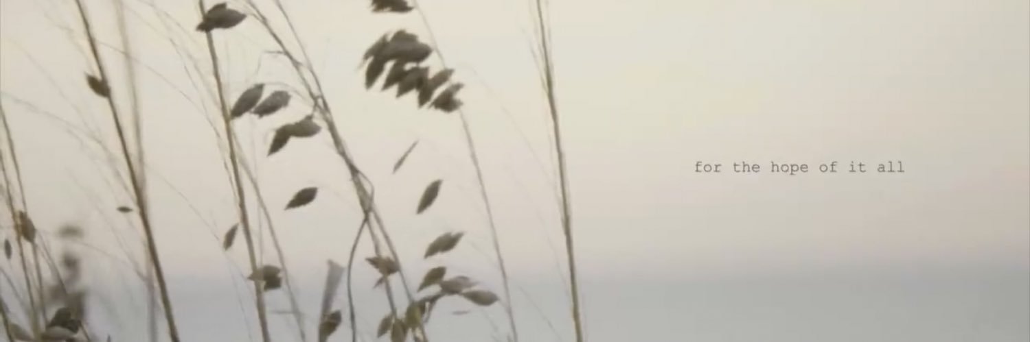 afterglowchlo's profile banner image