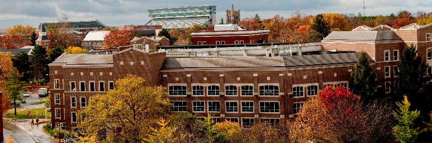 MSUMaineAlumni's profile banner image