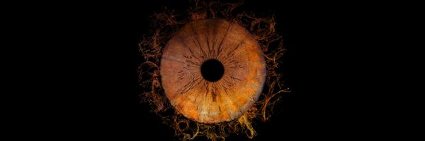 LuS_inc Profile Banner