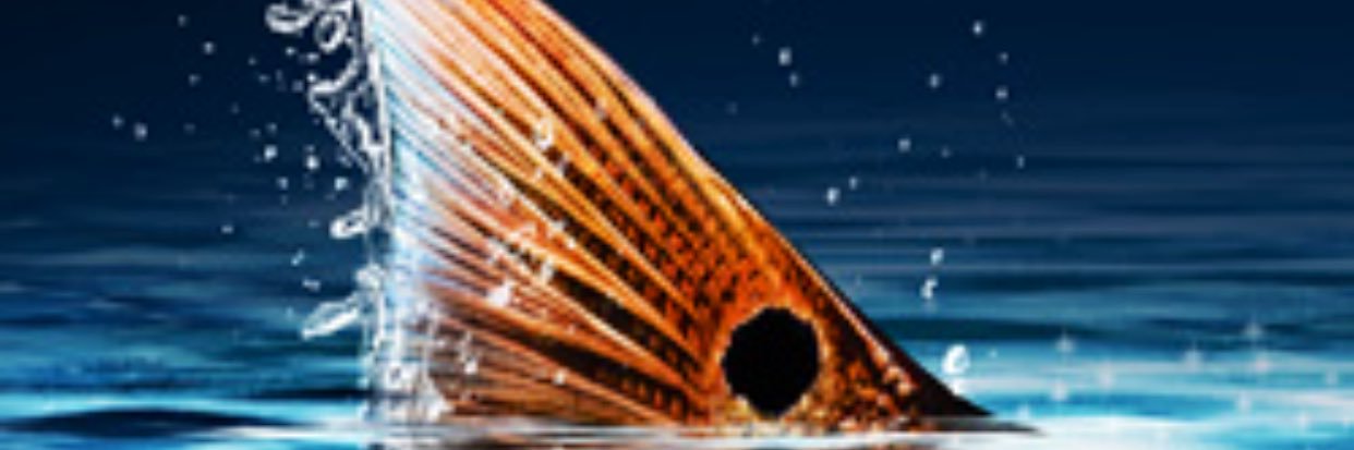 gleber85's profile banner image