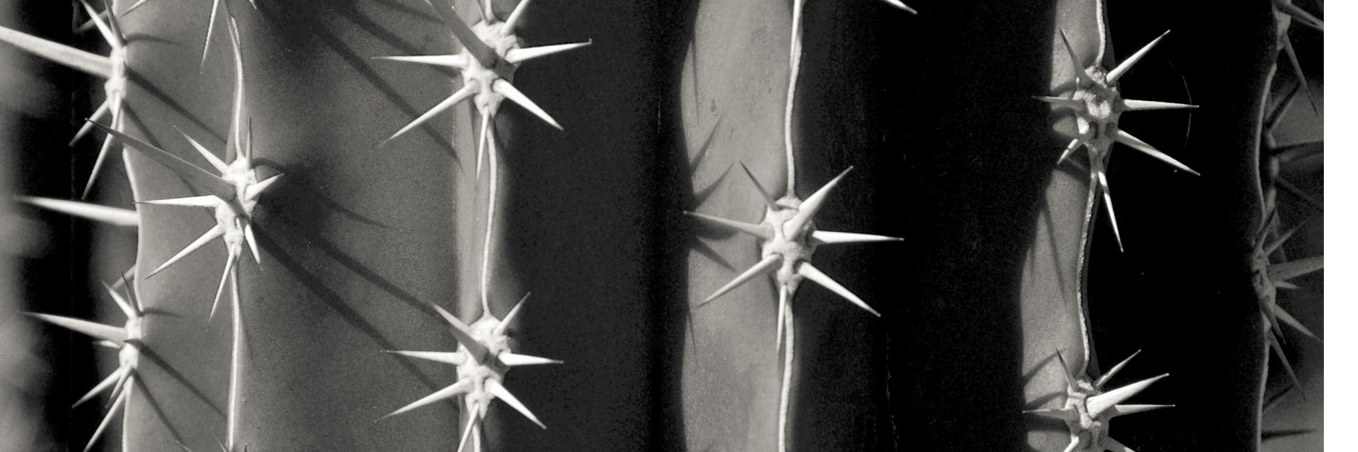 Bandwidth Conference banner
