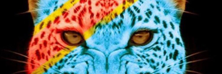 MelyssaMalu2's profile banner image