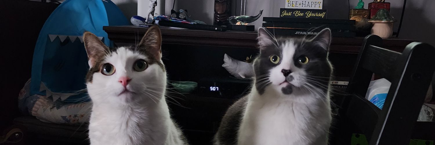 ganjaababe_'s profile banner image
