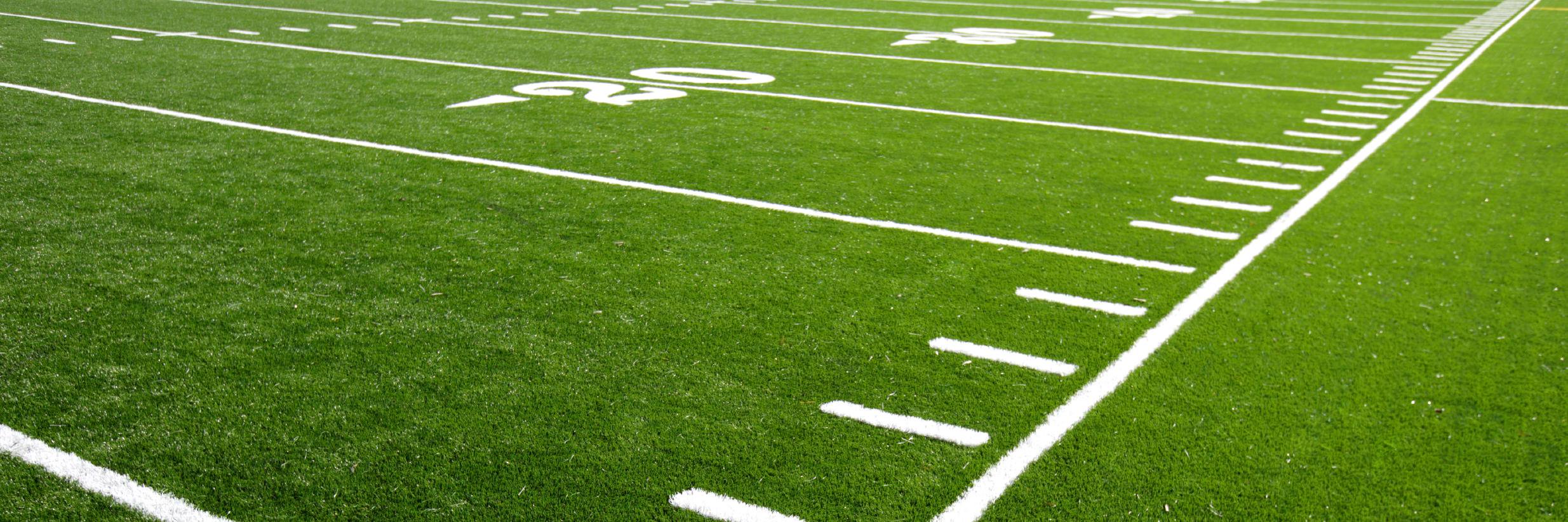 Mike Singletary banner