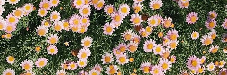 tkwwss's profile banner image