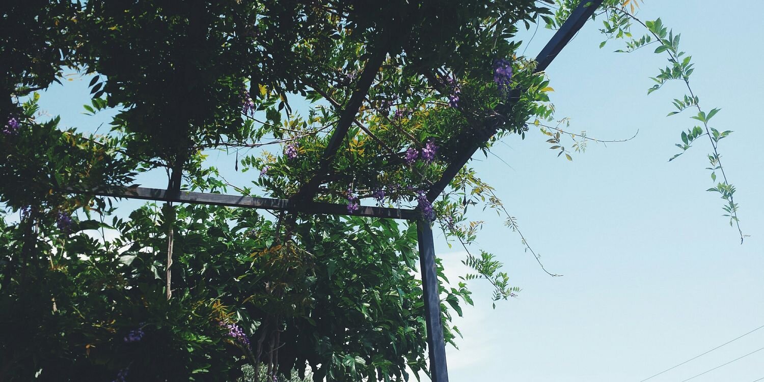begofarre's profile banner image