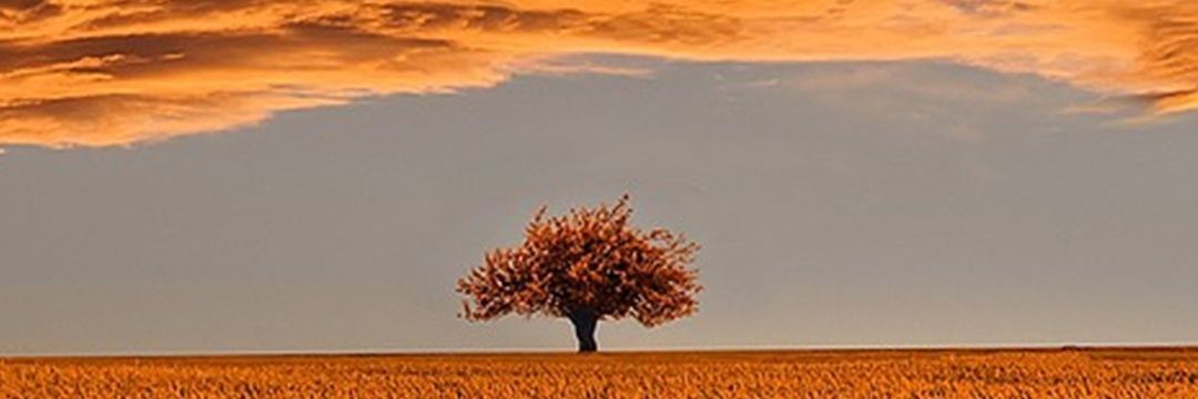 ms05377071's profile banner image