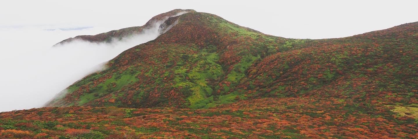 三好拓朗 / PARK Inc.代表 / Mountain Gourmet Lab.事業責任者 banner