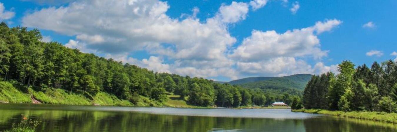 Megan Cheney banner