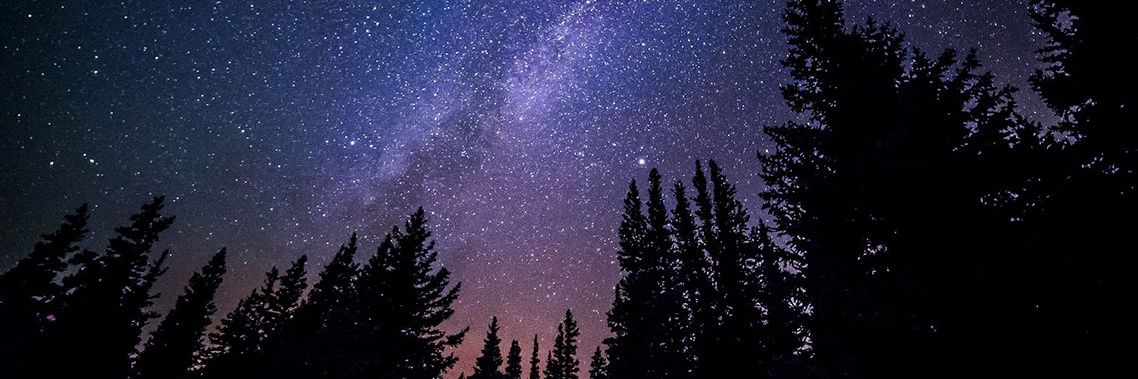 Sean Treleaven banner