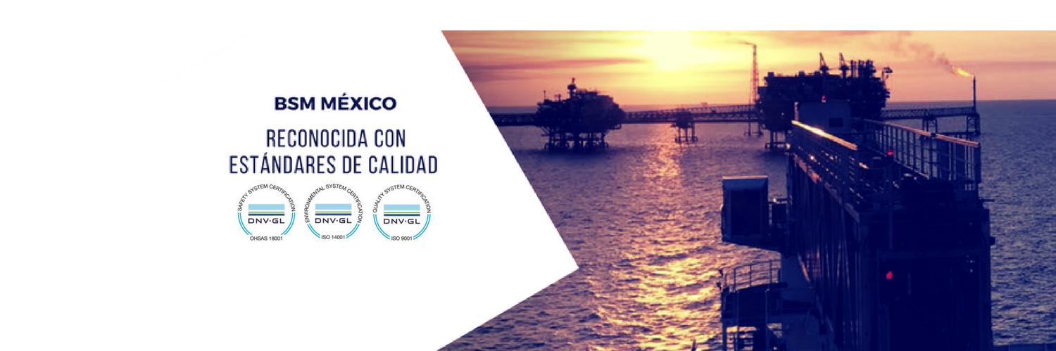 BSMMexico banner