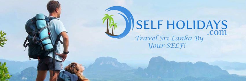 selfholidays's profile banner image