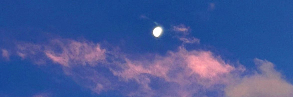 laurajasper's profile banner image