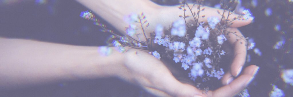 Minty_Pixie's profile banner image