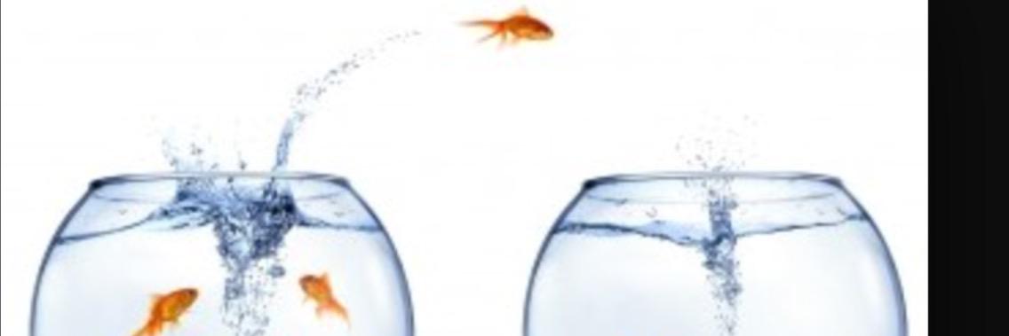 beatebert's profile banner image