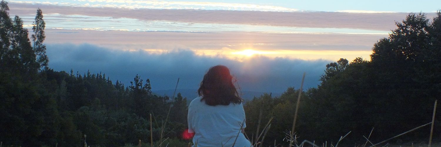 danaeyeah's profile banner image