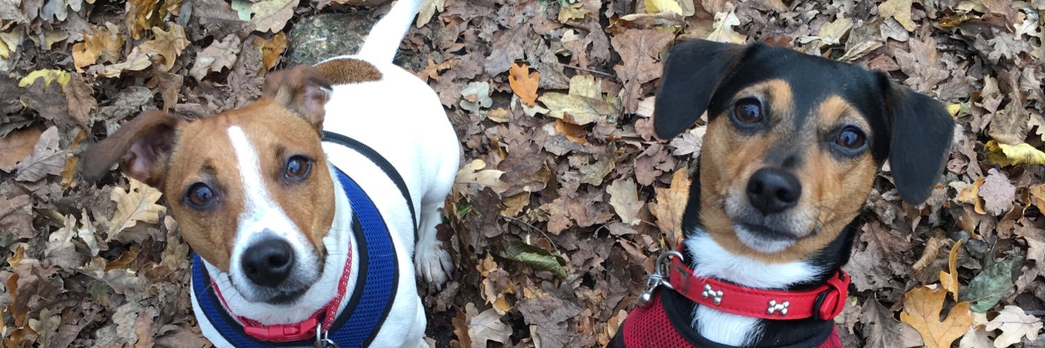 Miss_sam_a's profile banner image