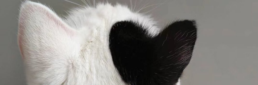 ri_728_'s profile banner image