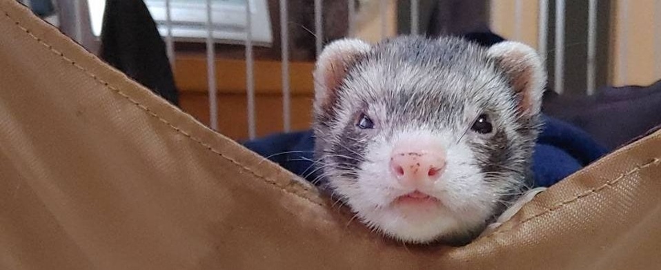 Tnills's profile banner image