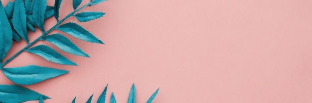 Okwucy's profile banner image