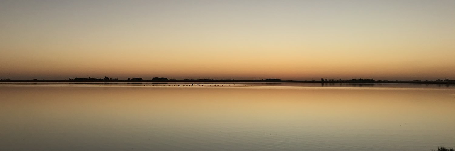 Candeeghi's profile banner image