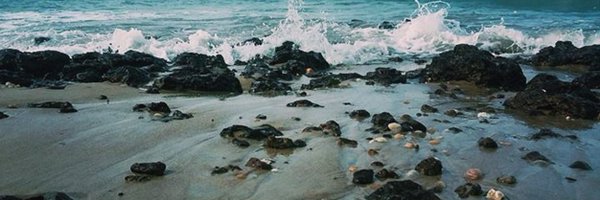 sofiadeschutter Profile Banner