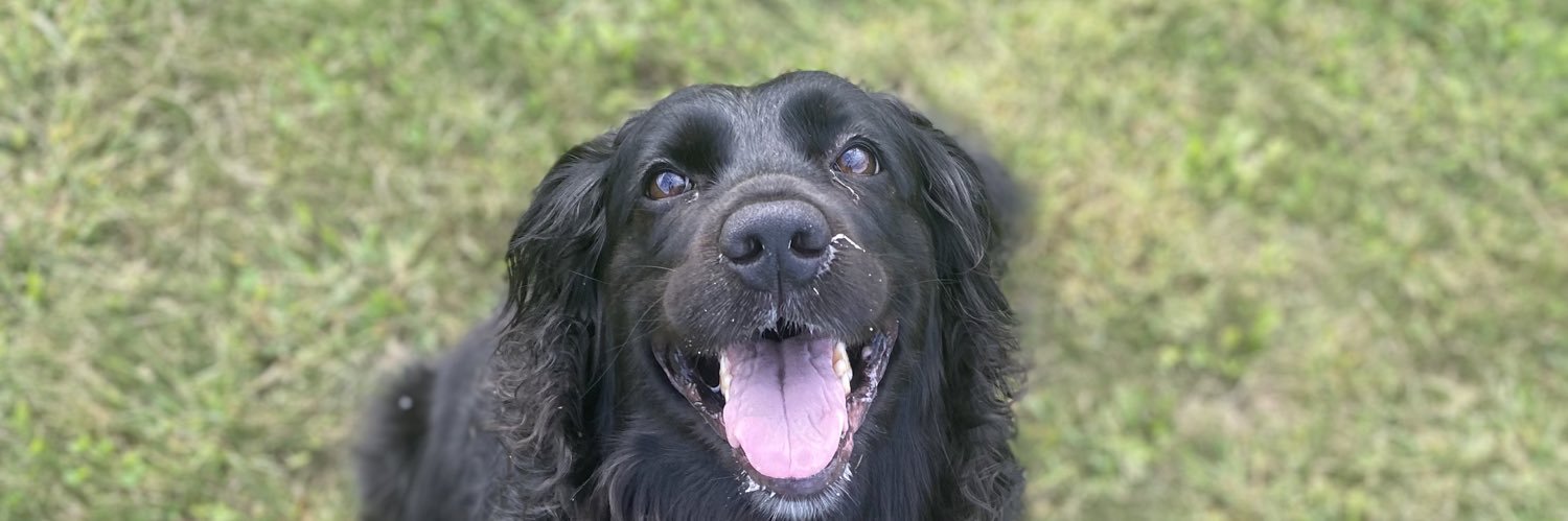 Christian Williams banner