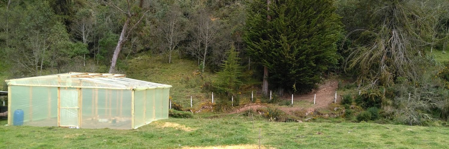 Bosques & Semillas banner