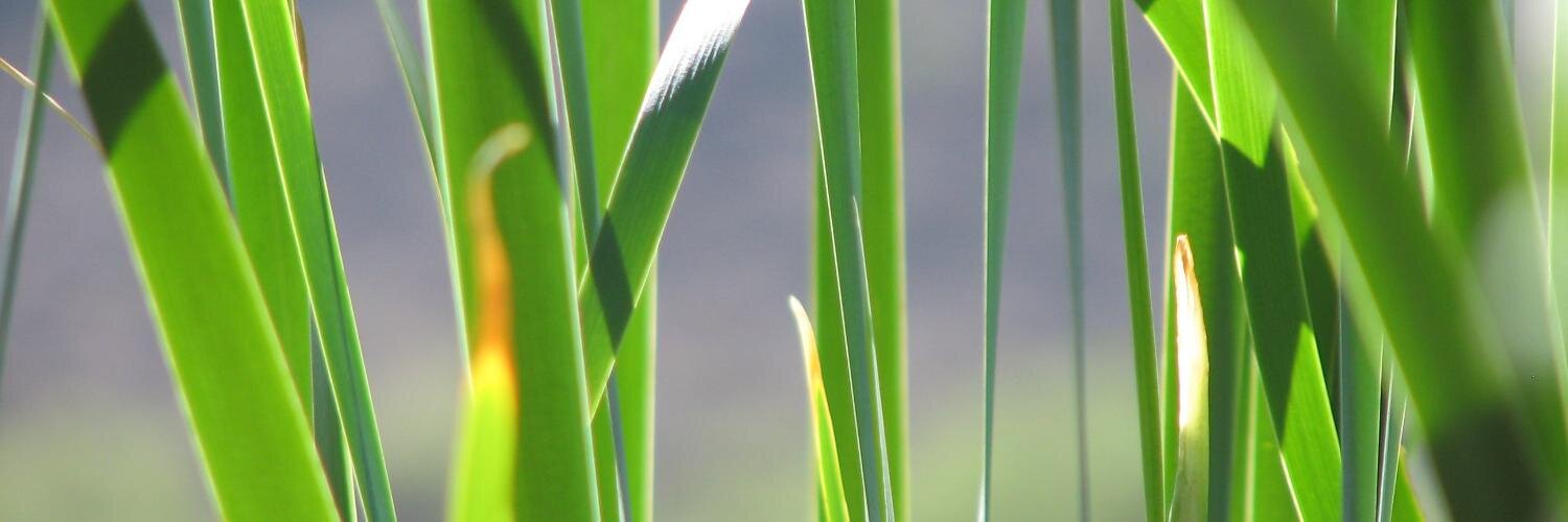 MtHimri's profile banner image