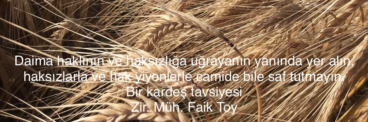 Faik Toy banner