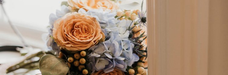 abby_elliott's profile banner image