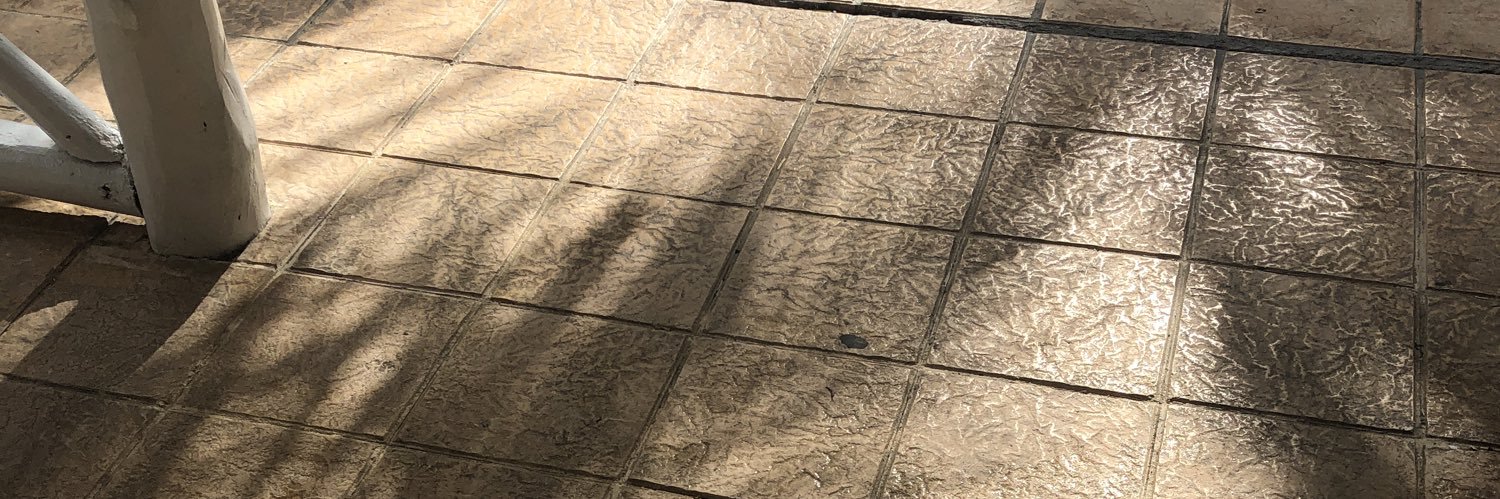 vanessamarchese's profile banner image