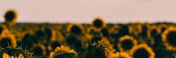 kcsncho_'s profile banner image