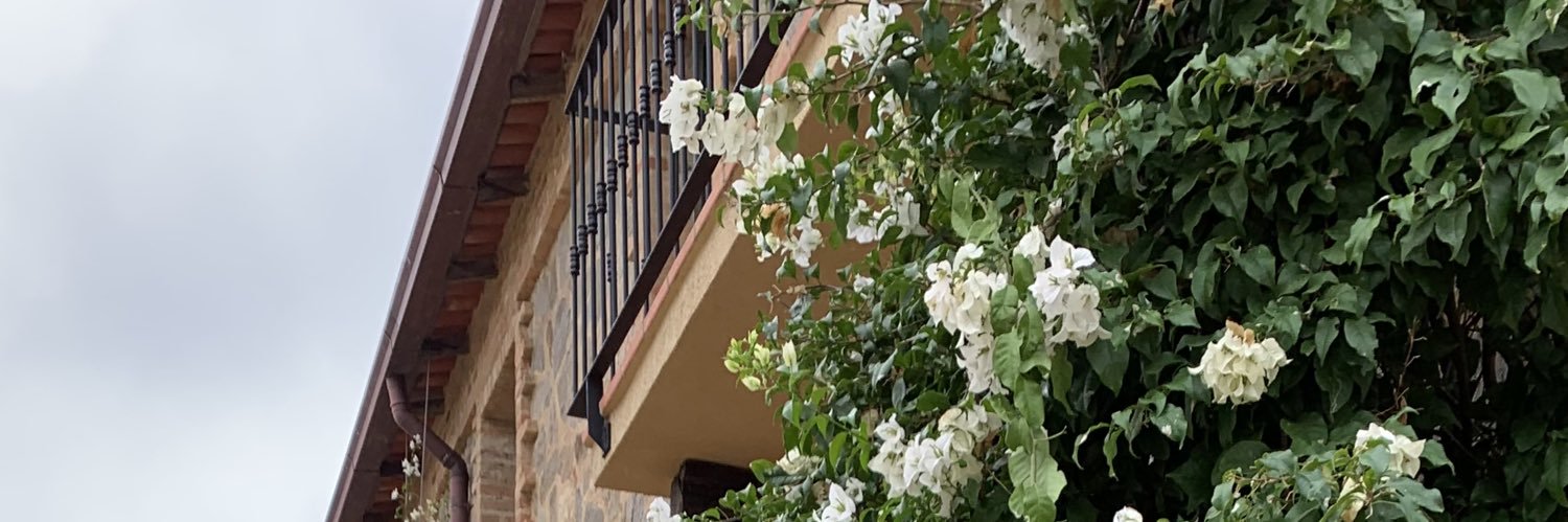 annapaula_sf's profile banner image
