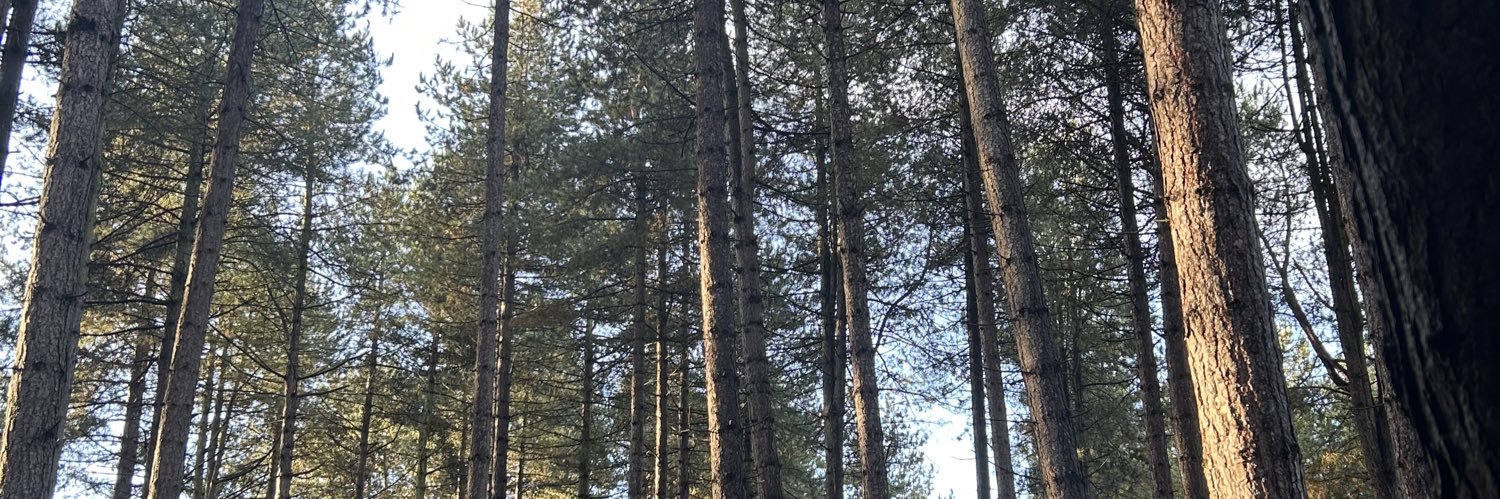 KatieGarstang's profile banner image