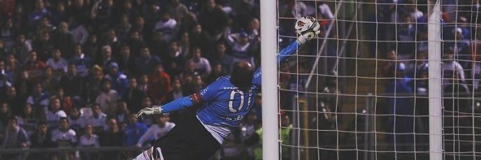 caiquenerivan's profile banner image