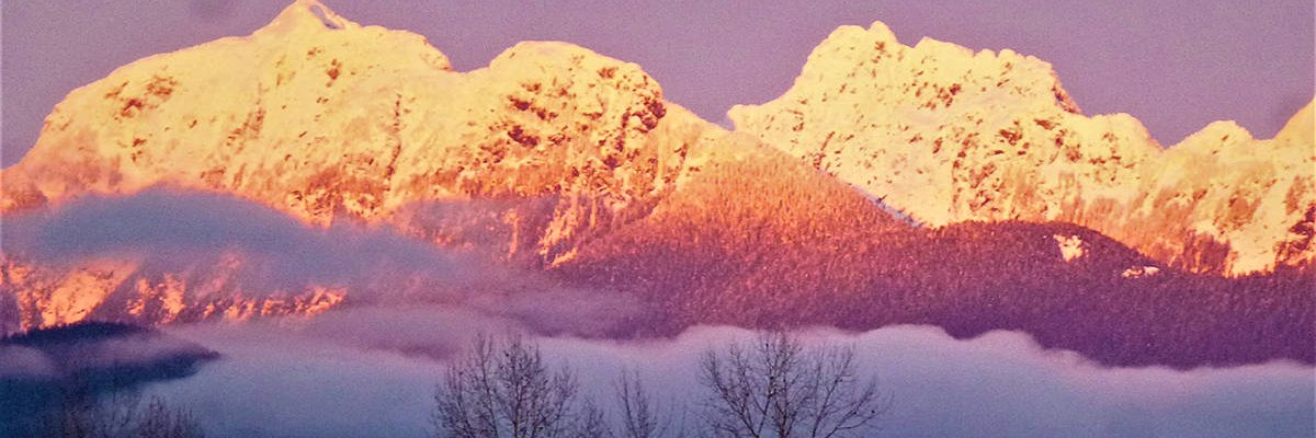 PMMRChamber's profile banner image