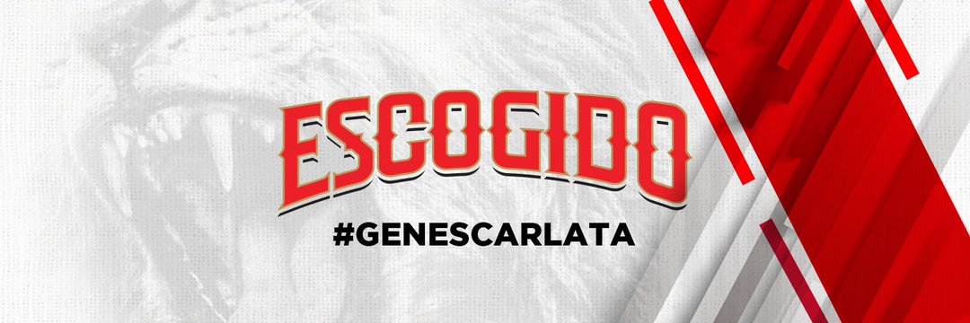 MagnoliaRodB's profile banner image