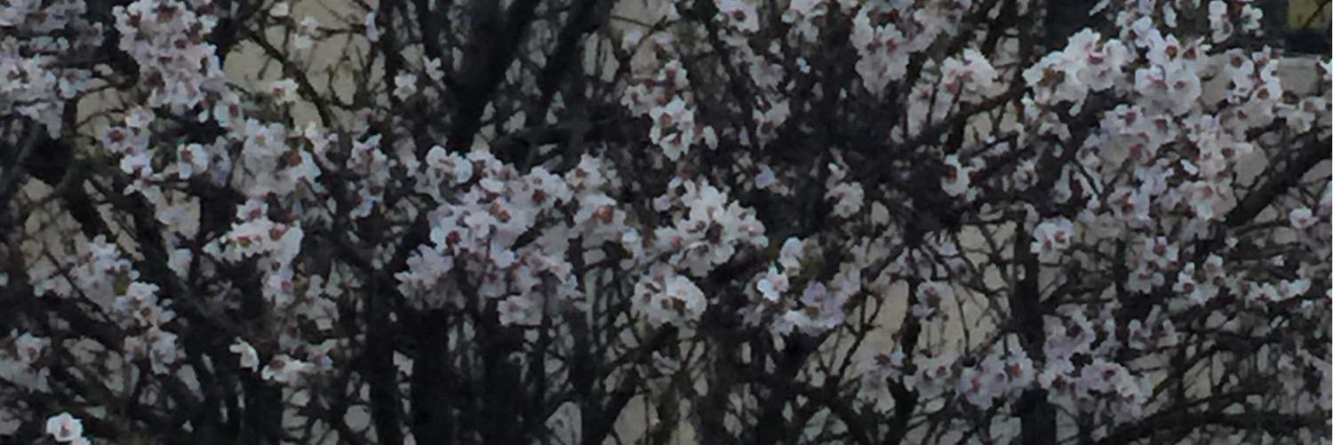 n282n's profile banner image