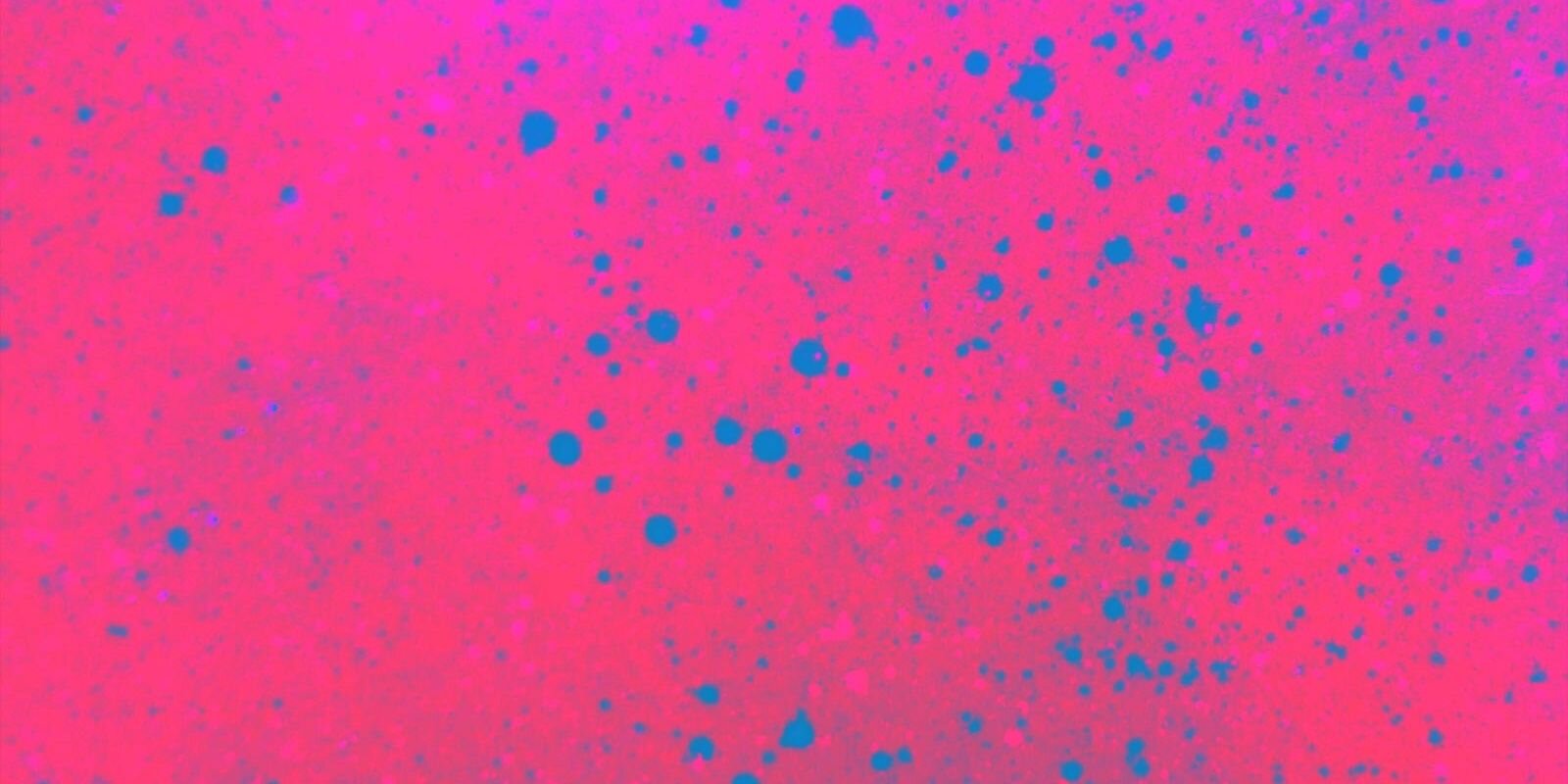 Ambar banner