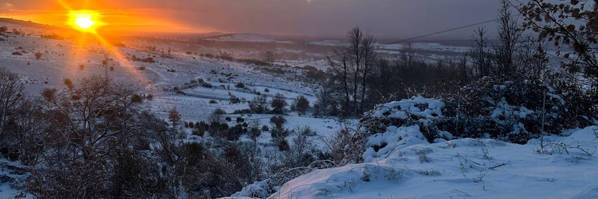 jaguenn's profile banner image