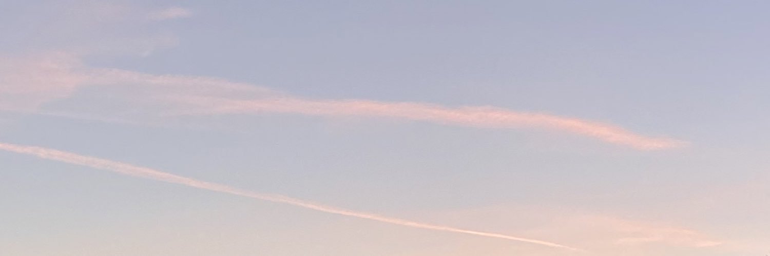 elspops's profile banner image
