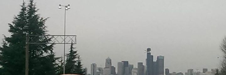 Steve Braicks banner