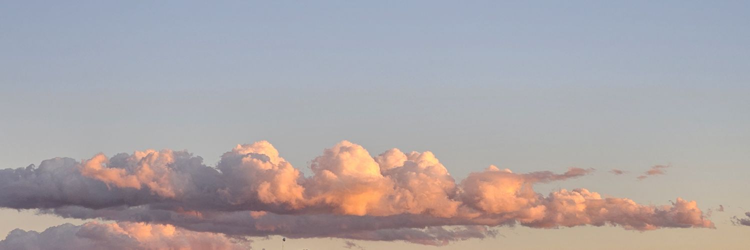 frncscrvr's profile banner image