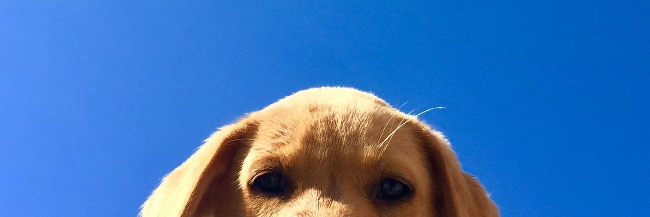 anggrainym_'s profile banner image