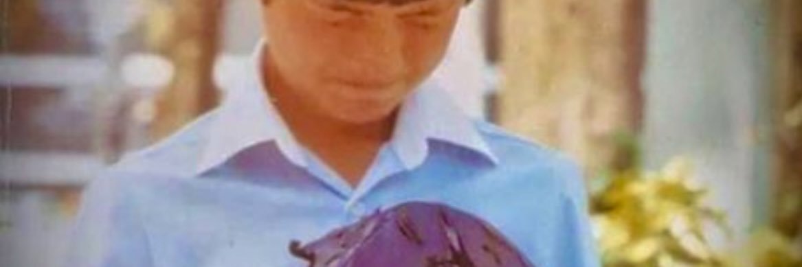 Regnum Hispaniae banner