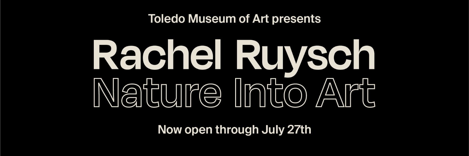 Toledo Museum of Art's banner