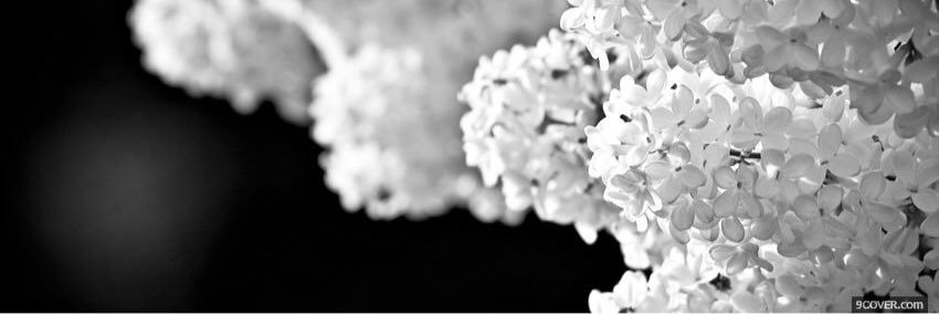 acastro_6730's profile banner image
